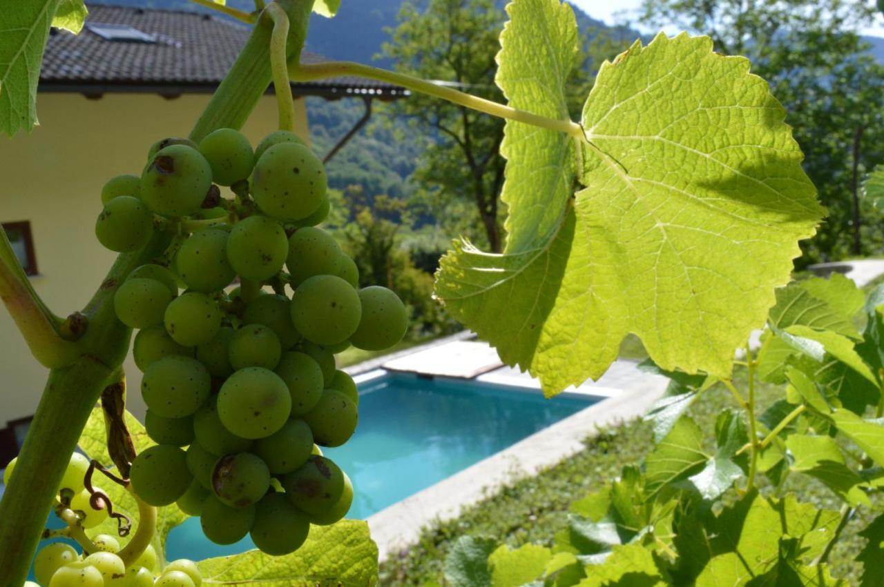 Holiday Home Jelovcerjeva Idrija pri Baci Екстериор снимка